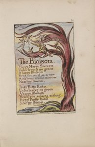 La Fleur, planche 20 de Chants d